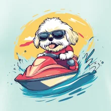 Lhasa Apso na vodním skútru