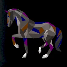 Kůň geometrie barevný