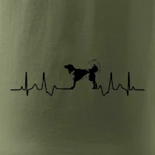 Český strakatý pes EKG