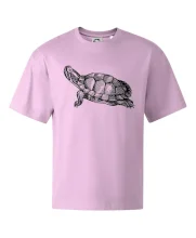 Tužkou kreslená želva