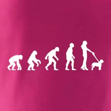 Lagotto romagnolo Evoluce