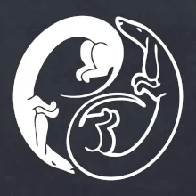 Jezevčíci - Jin jang