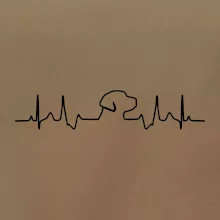 Labrador EKG