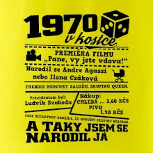 1970 v kostce