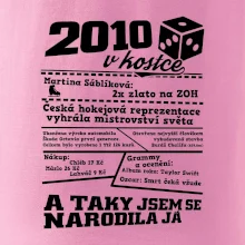 2010 v kostce