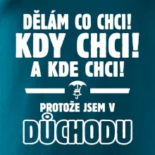 Dělám co chci, kdy chci důchod