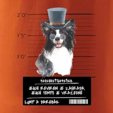 Lump a darebák border kolie