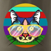 Kočka při barevném západu