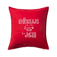 Děkuji za to, že jsi