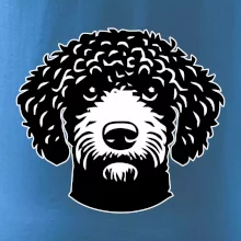 Lagotto romagnolo hlava na prsu