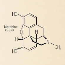 Molekulární struktura Morfin