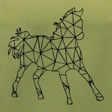 Geometrie - kůň jednobarevná