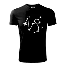 Souhvězdí - Capricorn - Kozoroh