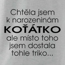 Chtěla jsem dostat k narozeninám koťátko