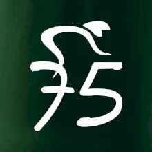 Cyklista slaví pětasedmdesátku (75)