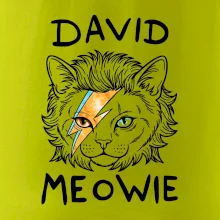 David Meowie