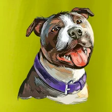Americký stafordširský teriér  kreslený