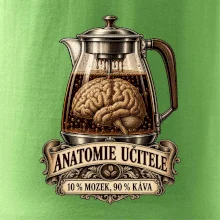 Anatomie učitele deset procent mozek devadesát káva