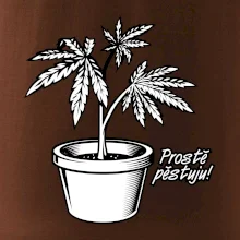 Konopi prostě pěstuju