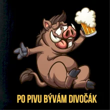 Po pivu bývám divočák