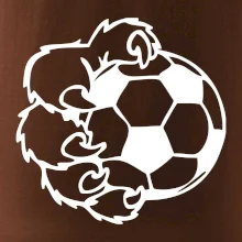 Medvědí tlapa fotbal