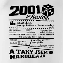 2001 v kostce