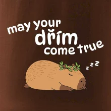 May your dřím come true