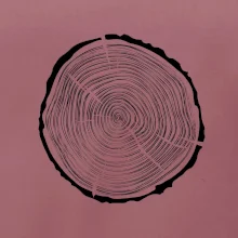 Letokruhy 40 bez věku