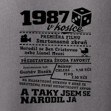 1987 v kostce