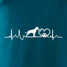 Německý boxer EKG Německý boxer EKG