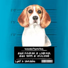 Lump a darebák bígl