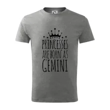 Princesses are born as Gemini - Blíženci