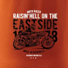 Raisin Hell Moto Racer