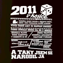 2011 v kostce