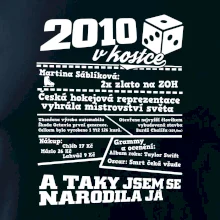 2010 v kostce