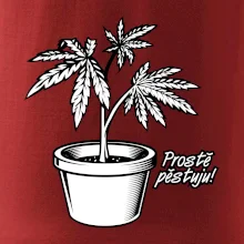 Konopi prostě pěstuju
