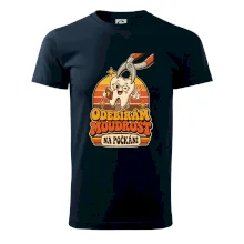 Odebírám moudrost na počkání