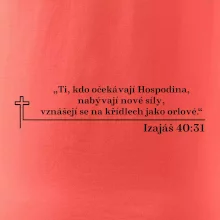 Citáty z bible - Izajáš 40:31