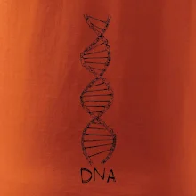Cyklistovo DNA
