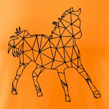 Geometrie - kůň