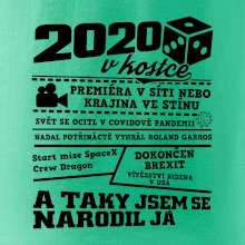 2020 v kostce