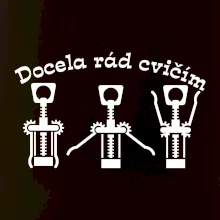 Docela rád cvičím