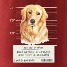 Lump a darebák zlatý retrívr