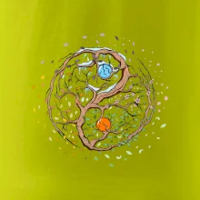 Yin & Yang strom - zima, léto