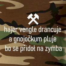 Hajer vengle drancuje a gnojočkum pluje bo se přidoł na zymba