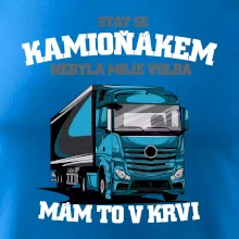Stát se kamioňákem nebyla moje volba