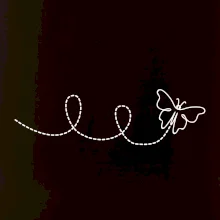 Dráha letu motýla - smyčka