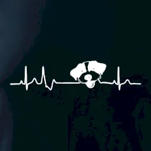 Jack Russell Terriér hrubosrstý Ekg