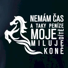 Nemám čas a taky peníze - Kůň