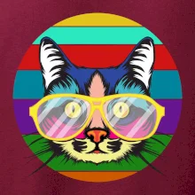 Kočka při barevném západu